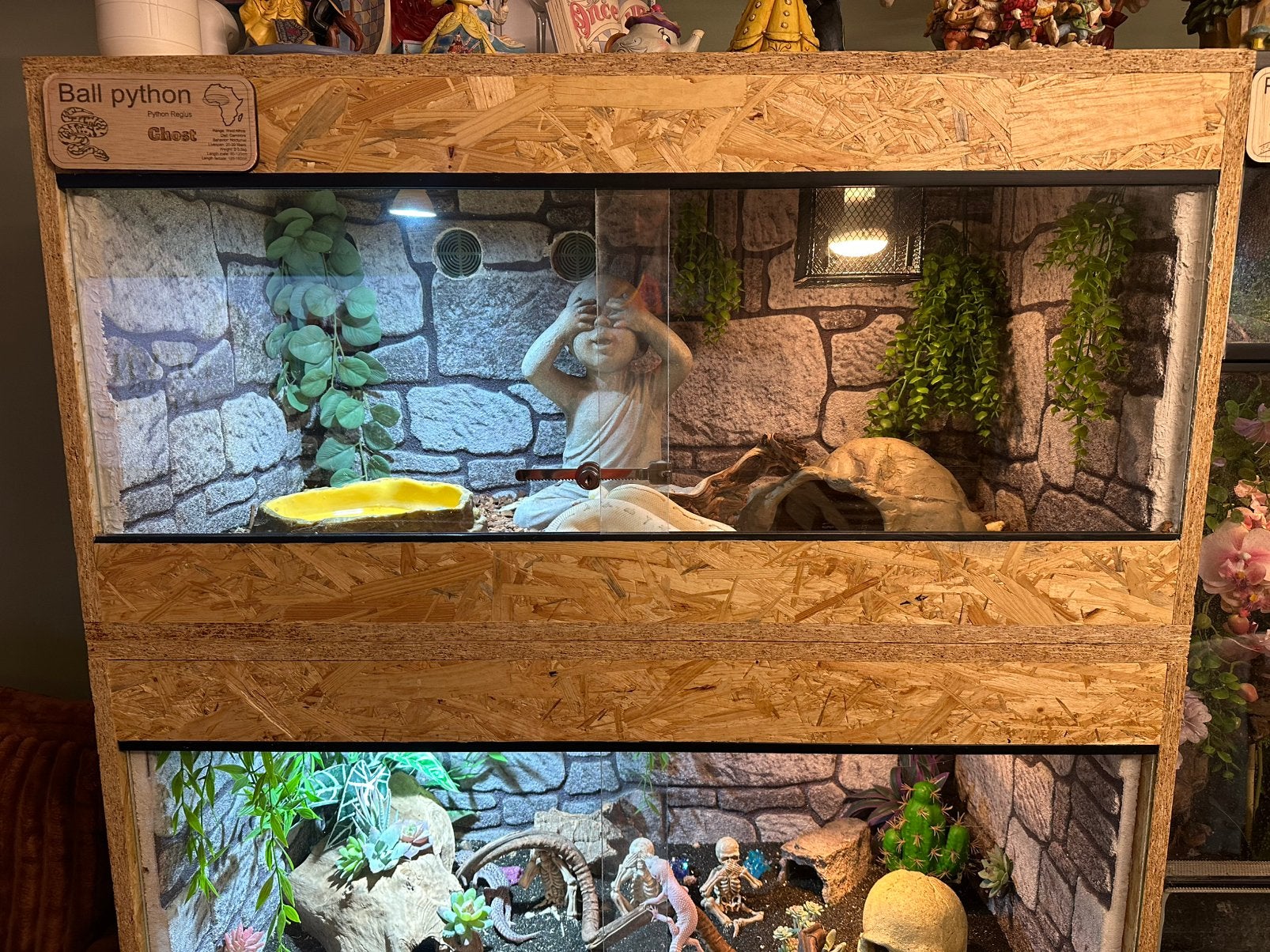 Terrarium van 100x60x50, Ophalen, Zo goed als nieuw, Terrarium of Paludarium