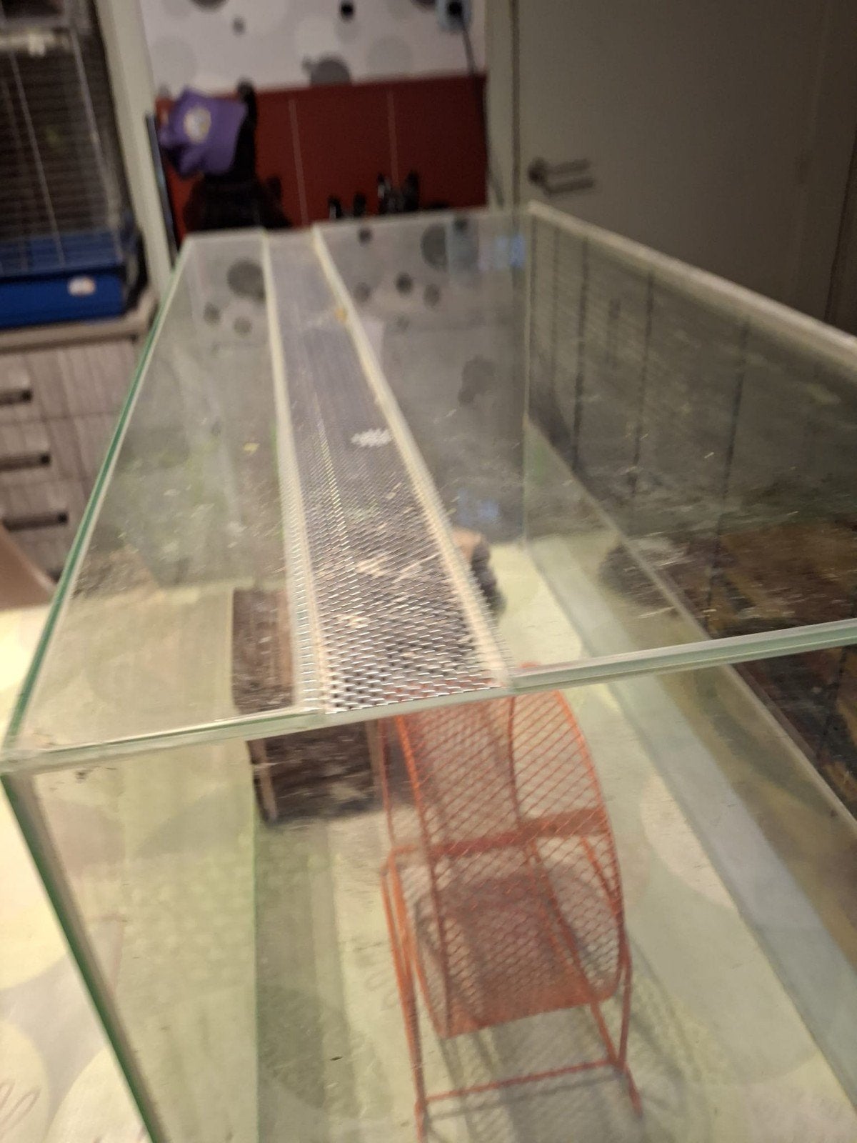 aquarium voor knaagdieren 80€      80 37. 42, Enlèvement