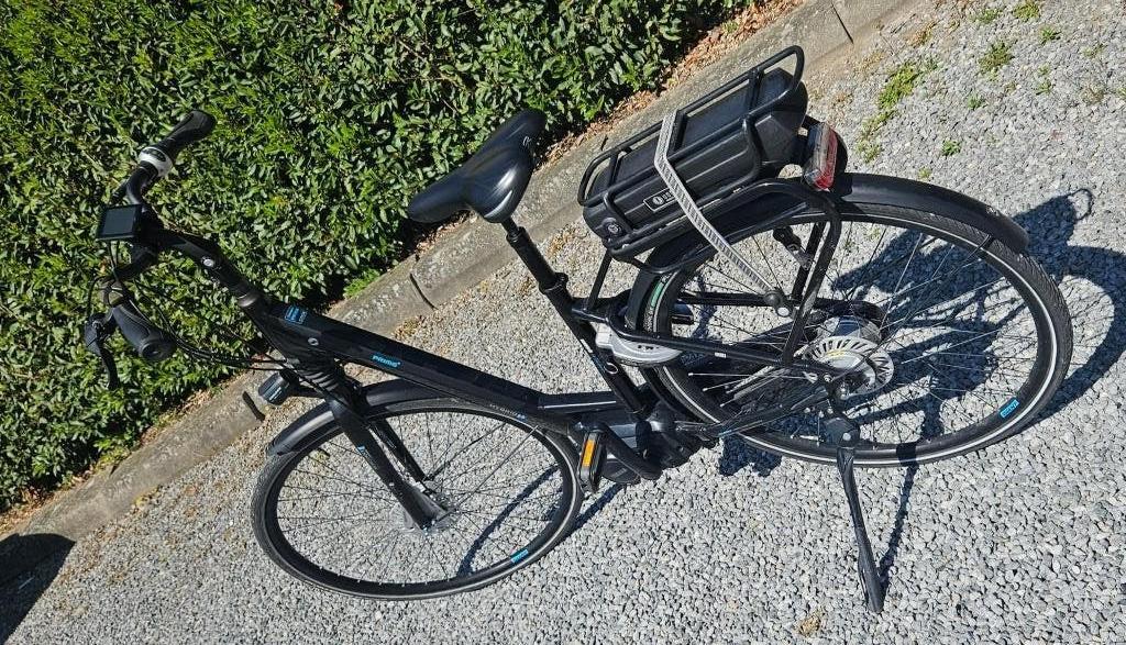 Elektrische fiets Giant Prime E+ 2 baterijen, Fietsen en Brommers, Ophalen, 50 km per accu of meer, Giant