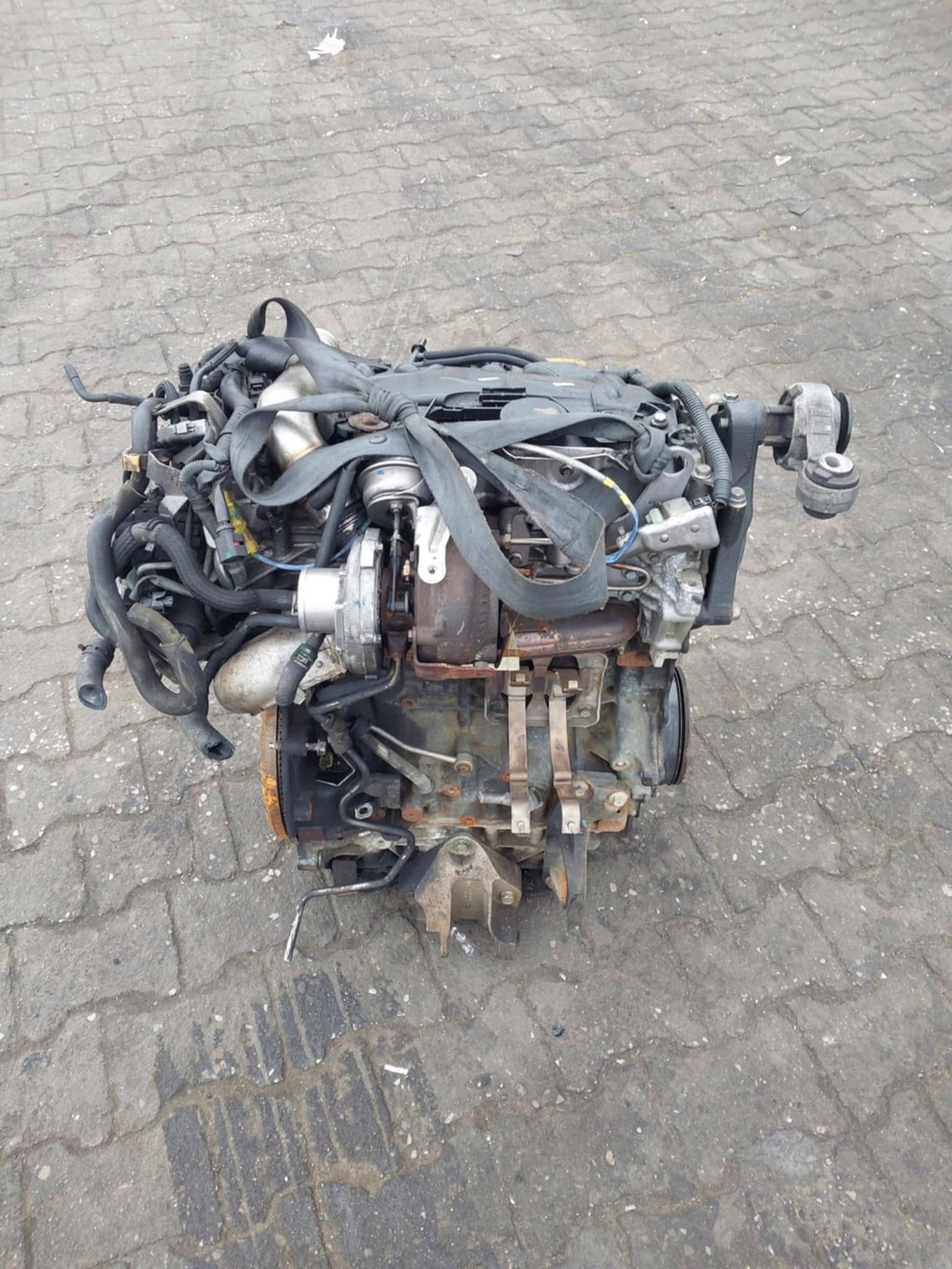 Moteur M9R865 Complet KOLEOS RENAULT, Envoi, Utilisé, Daihatsu