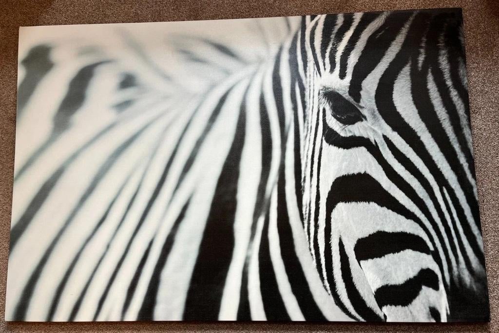Tableau IKEA « Zèbre » sur toile 78cm x 1,17m, Enlèvement