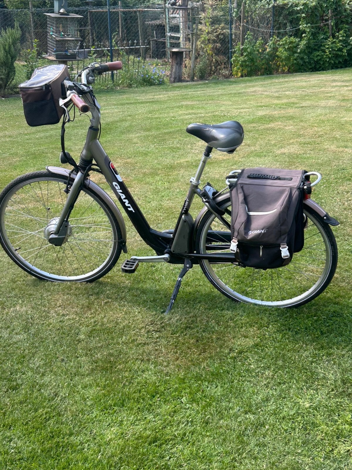 Elektrishe fiets giant, Fietsen en Brommers, Ophalen of Verzenden, Zo goed als nieuw, Giant