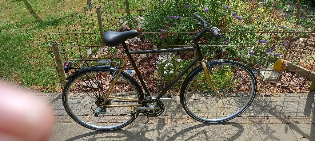vélo pour homme, Vélos & Vélomoteurs, Autres marques, Vitesses, Frein sur jante, Enlèvement