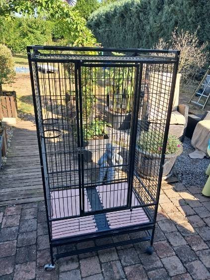 cage à perroquets ou à oiseaux, Animaux & Accessoires, Enlèvement, Utilisé, Métal, Cage à oiseaux