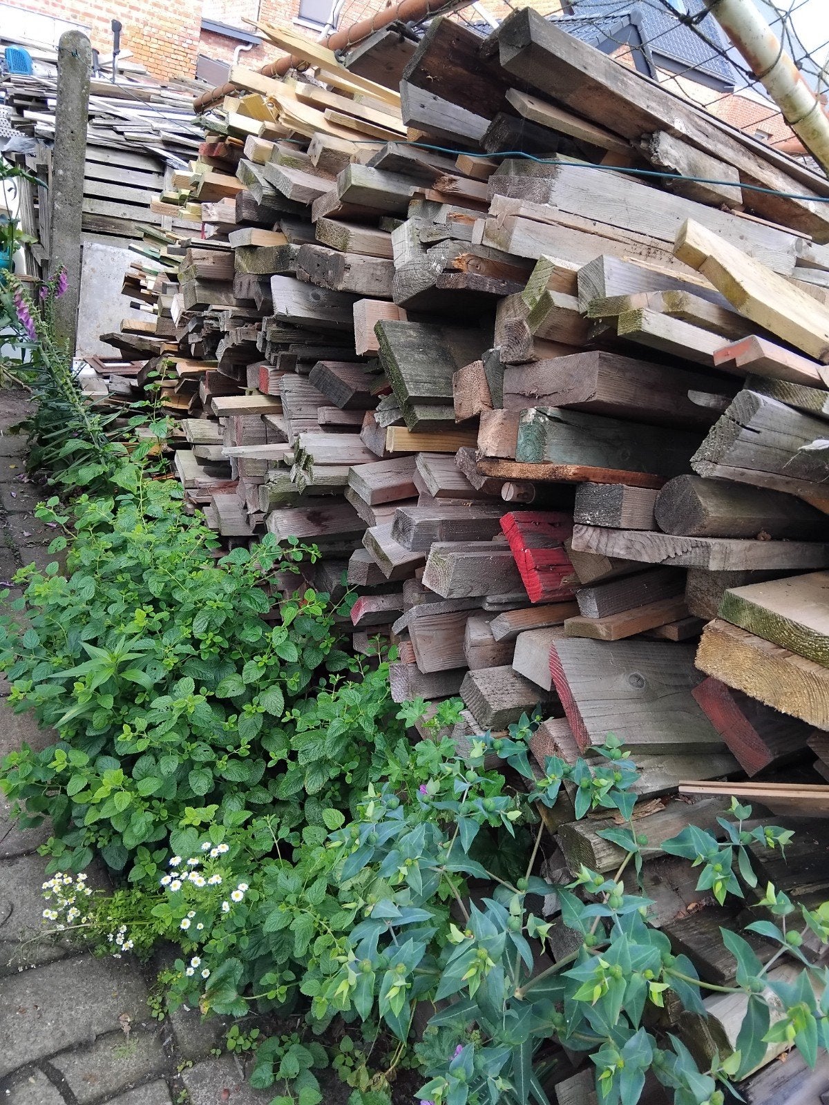 Planken en balkjes, Doe-het-zelf en Bouw, Hout en Planken, Ophalen