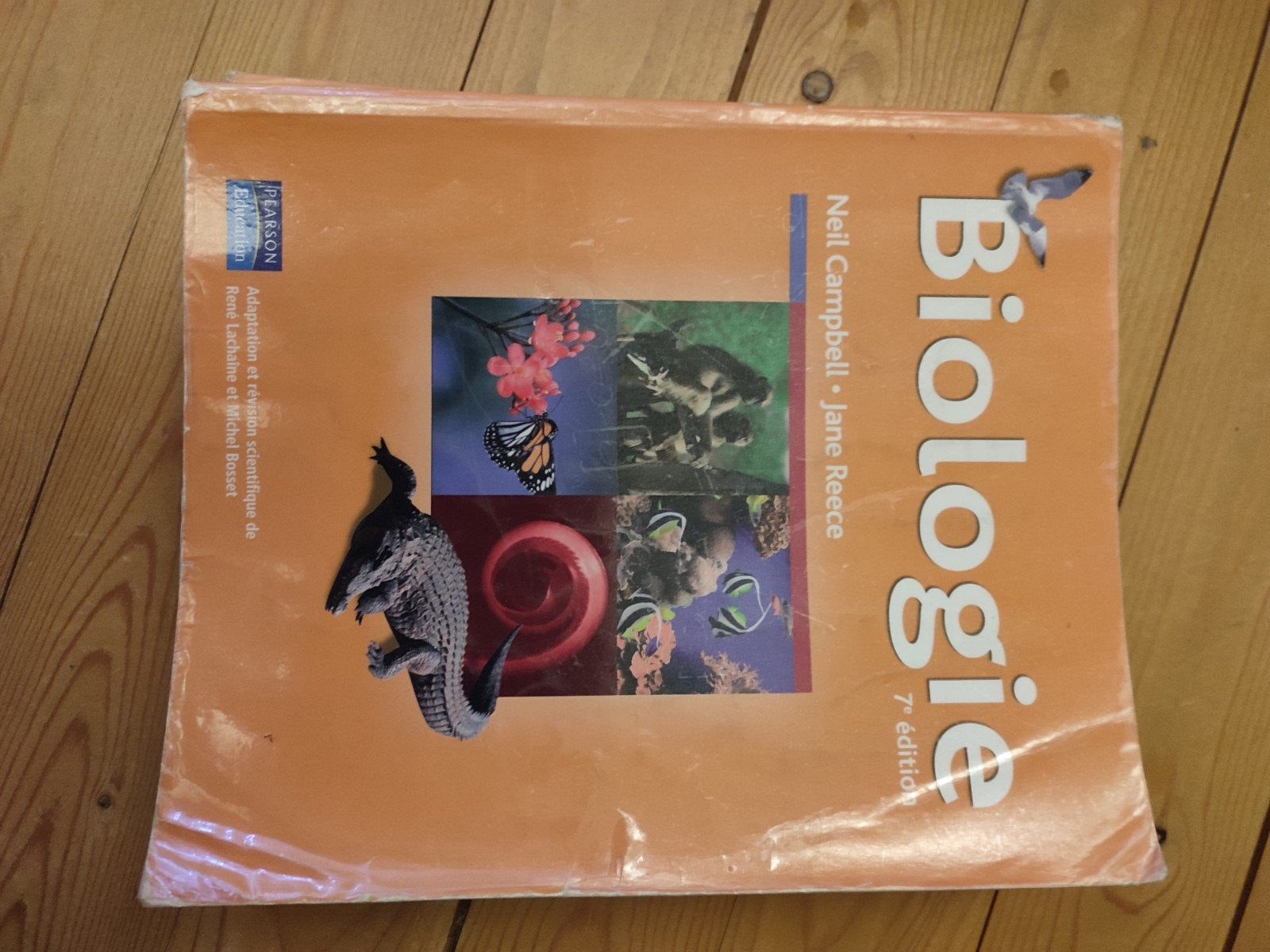 Biologie, Neil Campbell et Jane Reece, Livres, Biologie, Autres niveaux, Comme neuf, Enlèvement