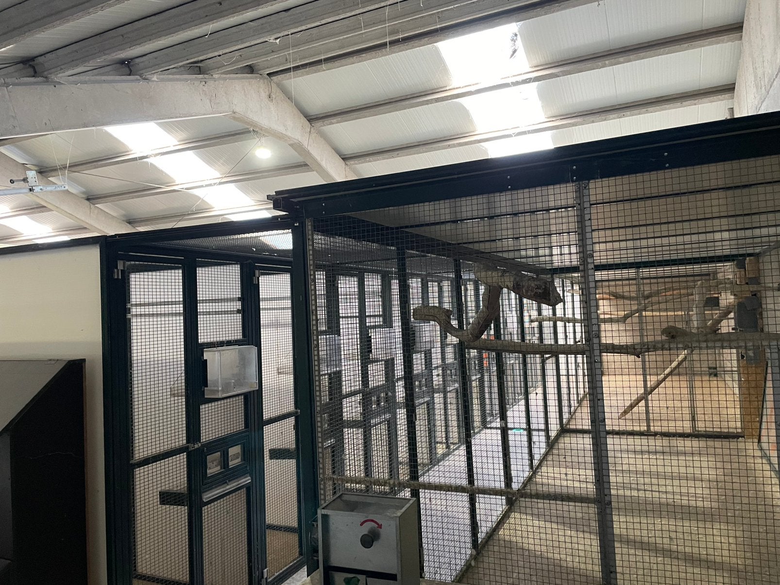 Volières / vogelkooi, Dieren en Toebehoren