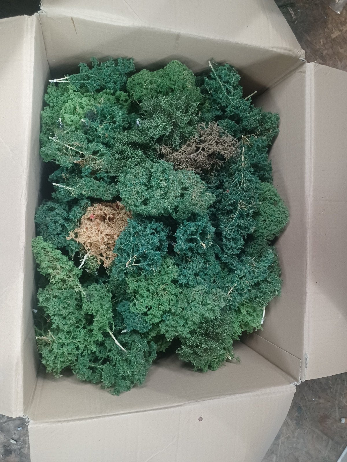 115 loofbomen zeeschuim  verschillende kleuren nmbs scnf,DB., Ophalen of Verzenden, Gelijkstroom of Wisselstroom, Natuur