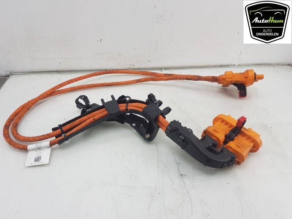 CÂBLE HT (HAUTE TENSION) Cupra Born (01-2021/05-2024), Dhr. J. Ham, Administratie@autoham.nl, Utilisé, Seat