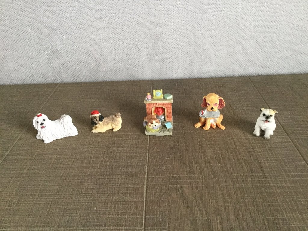 Leuke hondjes, Ophalen of Verzenden, Zo goed als nieuw, Dier
