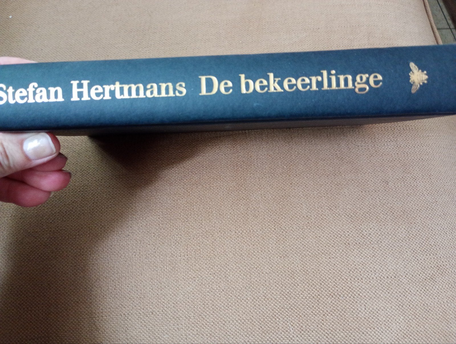 De bekeerlinge. Stefan Hertmans, Boeken, Literatuur, Ophalen of Verzenden