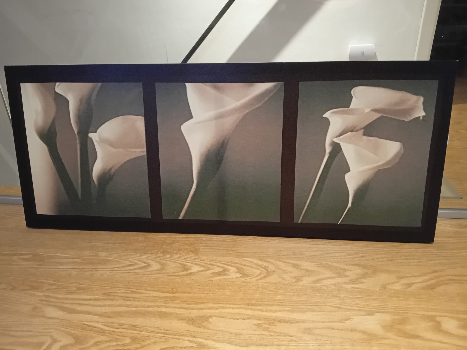 Canvas aronskelk, Ophalen, Gebruikt, 75 tot 100 cm, 5 – 50