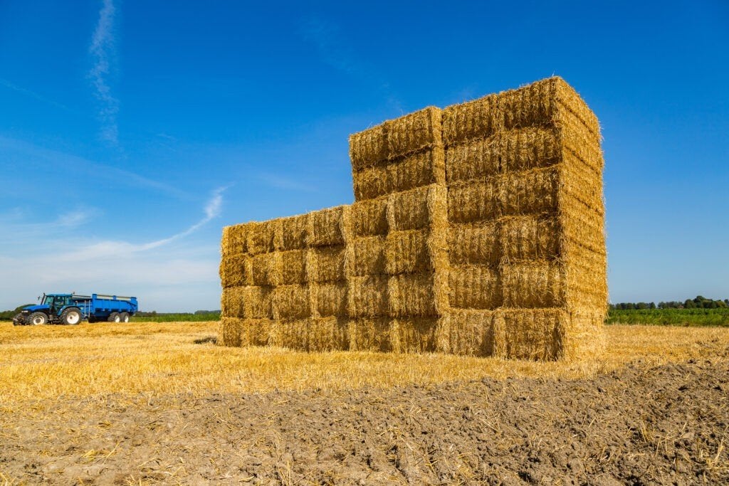 Stro en gras op stam gezocht, Ophalen