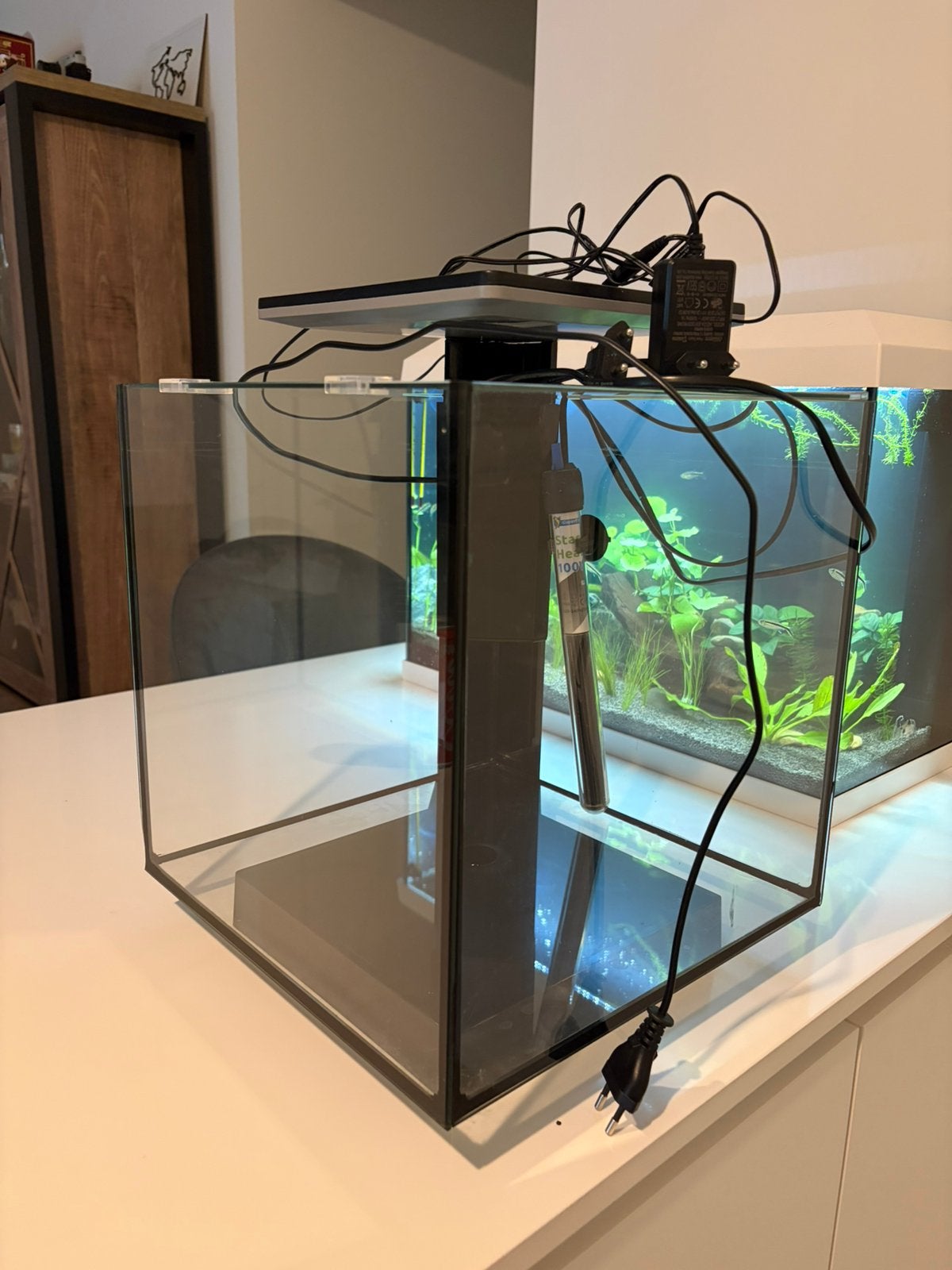 Superfish aquarium 30l, Dieren en Toebehoren, Vissen | Aquariumvissen, Vis, Schoolvis
