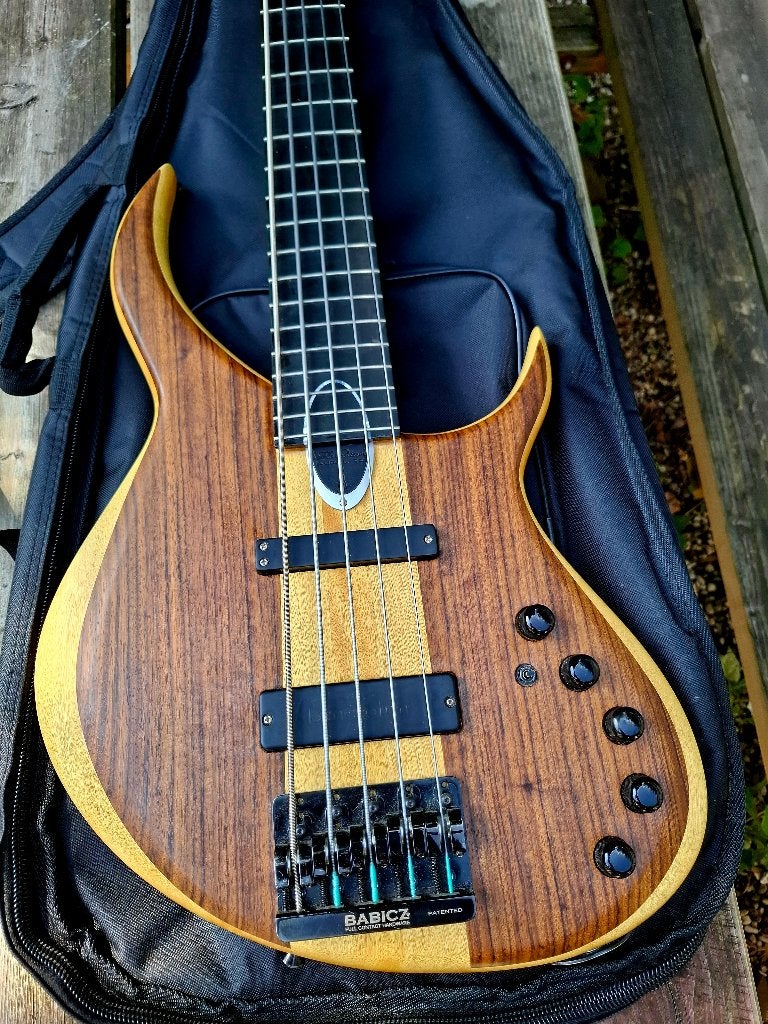 Meridian Aural II 5-string (met nieuwe Gotoh Res-o-lites), Muziek en Instrumenten, Snaarinstrumenten | Gitaren | Bas, Ophalen of Verzenden