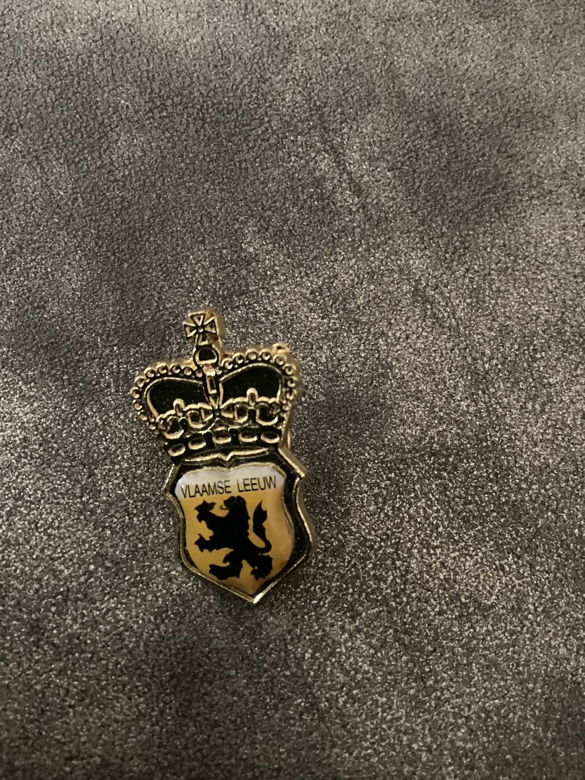 Vlaamse Leeuw pin en Belgium Cap, Ophalen