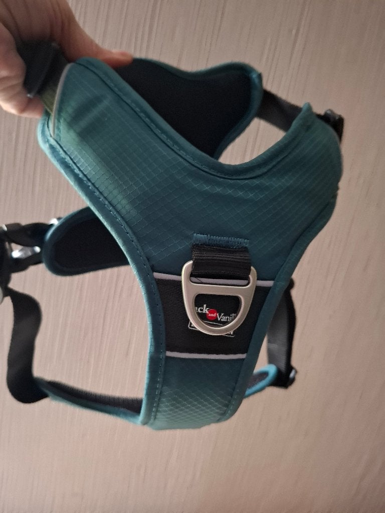 Harnais en Y pour chien Jack and Vanilla (Taille M), Animaux & Accessoires, Envoi, Comme neuf