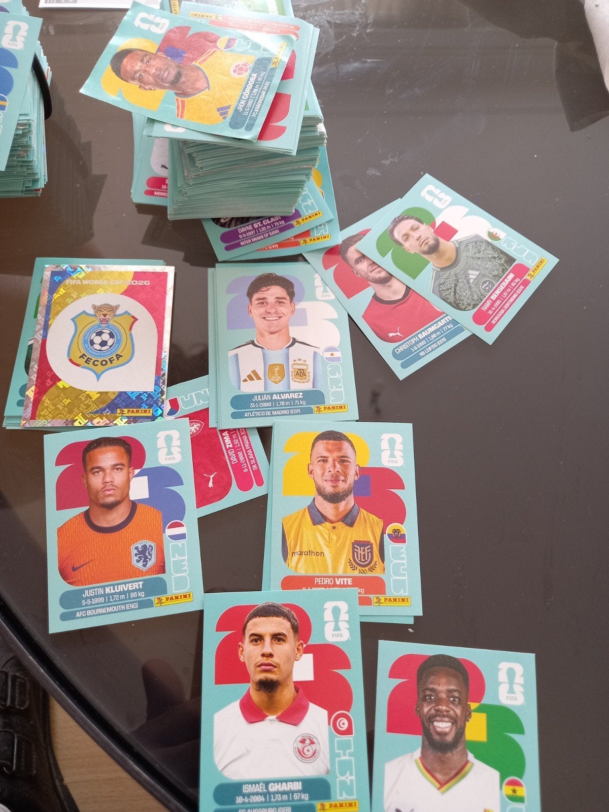 panini stickers football