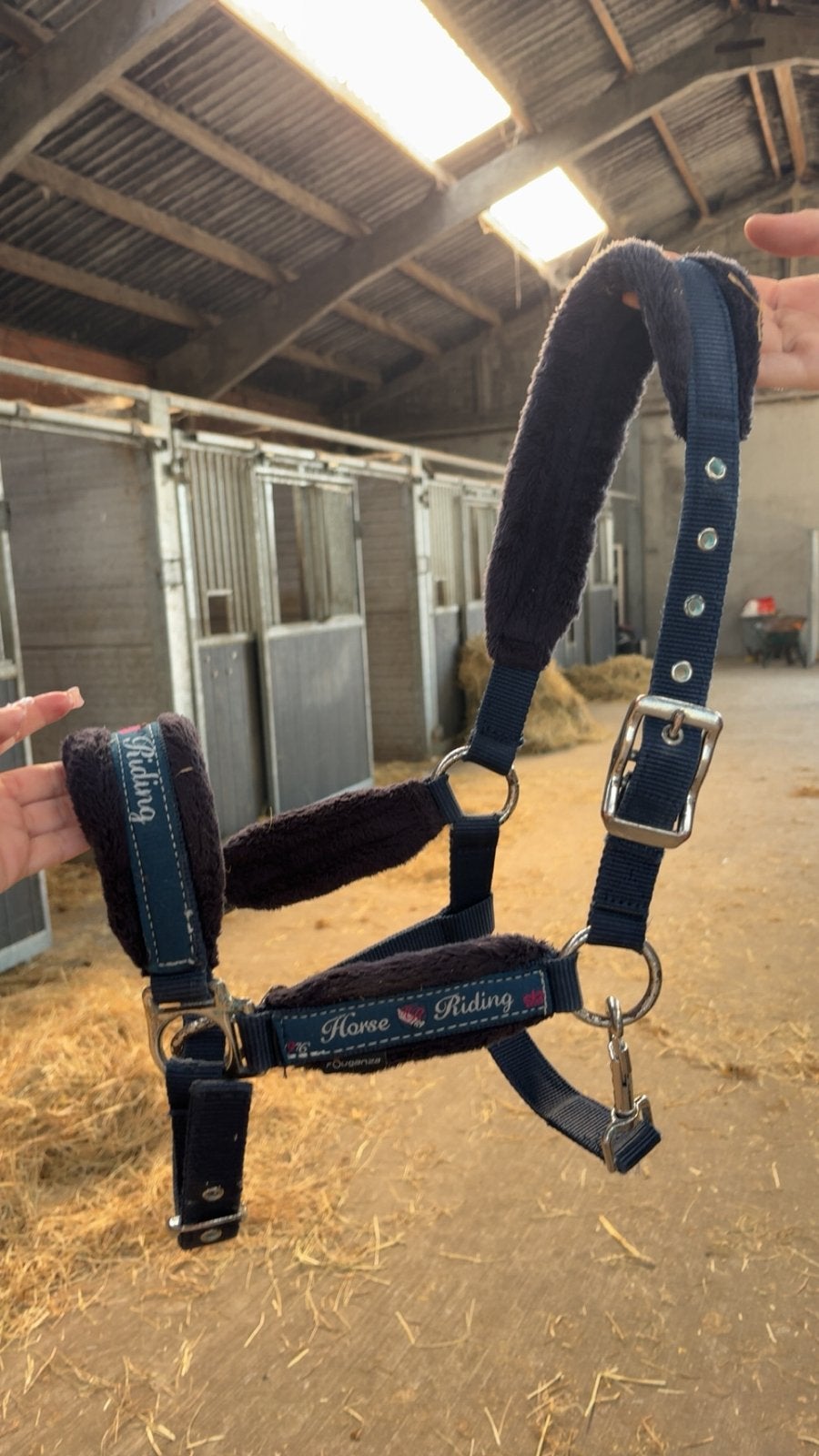 Horse Riding halster – €7, Ophalen of Verzenden, Gebruikt, Halster, Cob