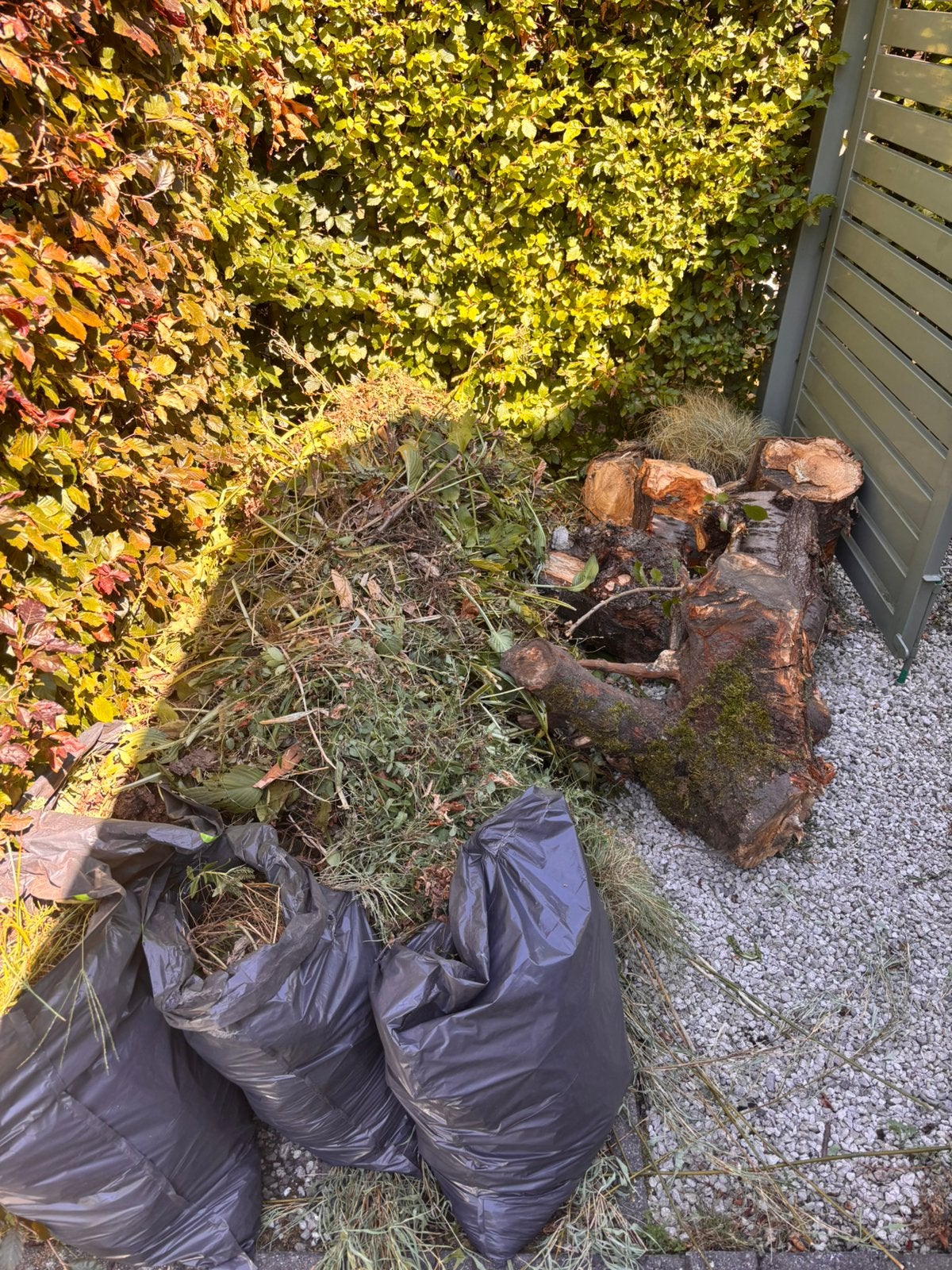 Dringend gezocht – groenafval ophalen, Tuin en Terras, Planten | Bomen, Ophalen