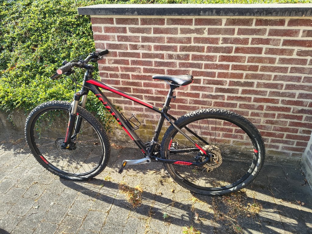 Mountainbike, Fietsen en Brommers, Ophalen, Gebruikt, Heren, Giant
