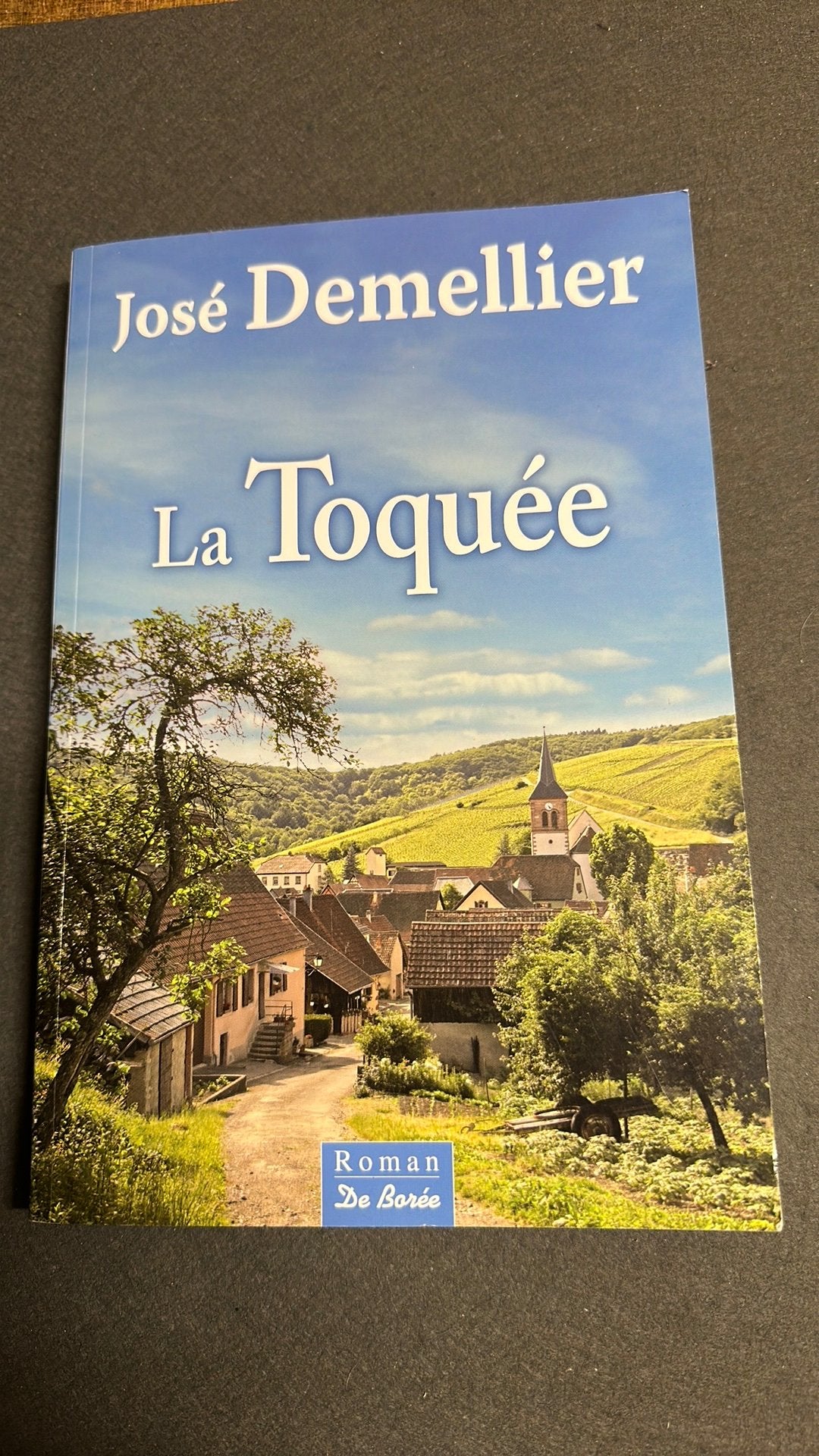 La toquée de José Demellier, Livres, Romans, Enlèvement ou Envoi, Comme neuf