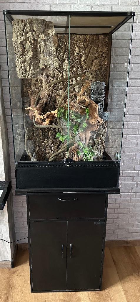Terrarium exoterra complet, Enlèvement, Comme neuf, Terrarium ou Paludarium