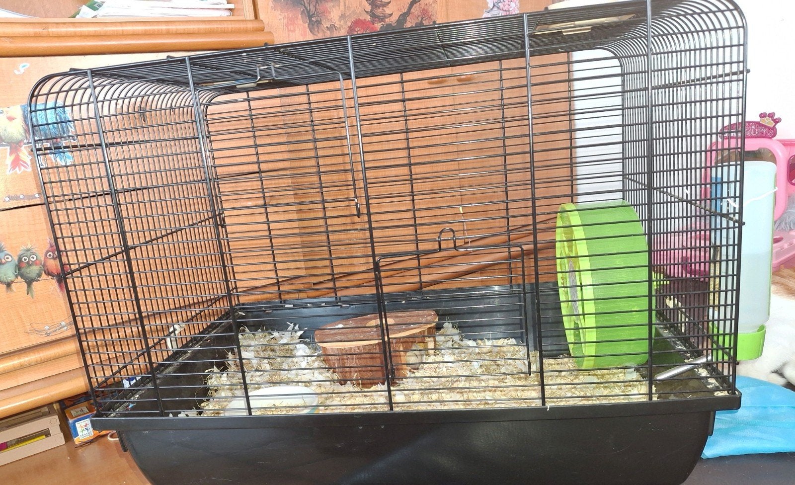 Koppel gerbils met kooi en veel toebehoren.  Inclusief eten., Ophalen, Kooi