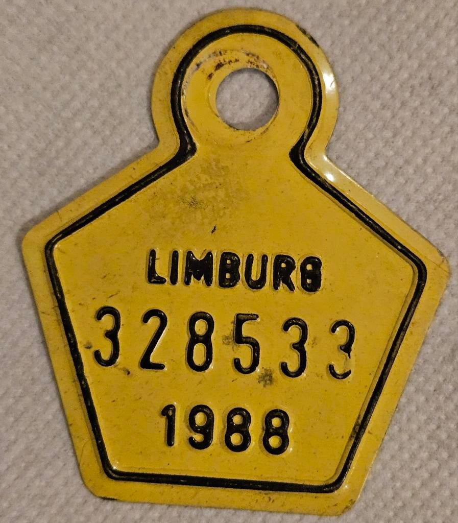 Plaque de vélo Limburg 1988 328533
Cet objet, Enlèvement ou Envoi