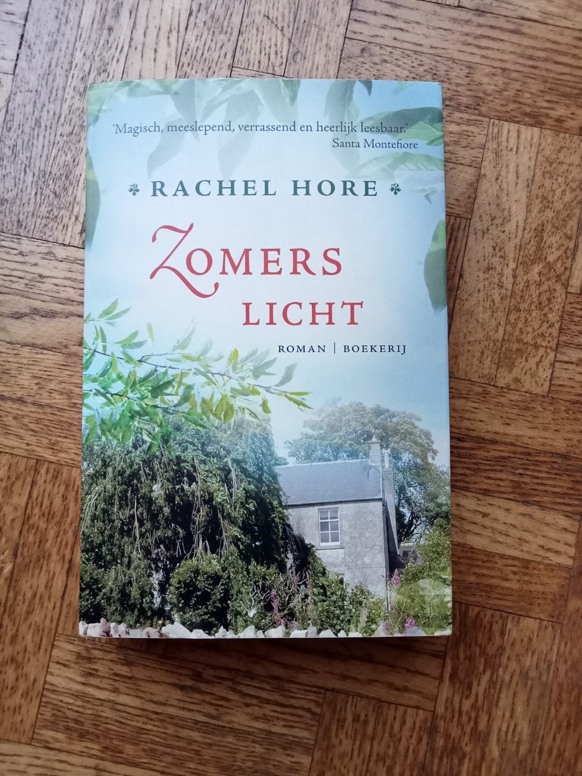 Rachel Hore: Zomers licht, Ophalen of Verzenden, Gelezen