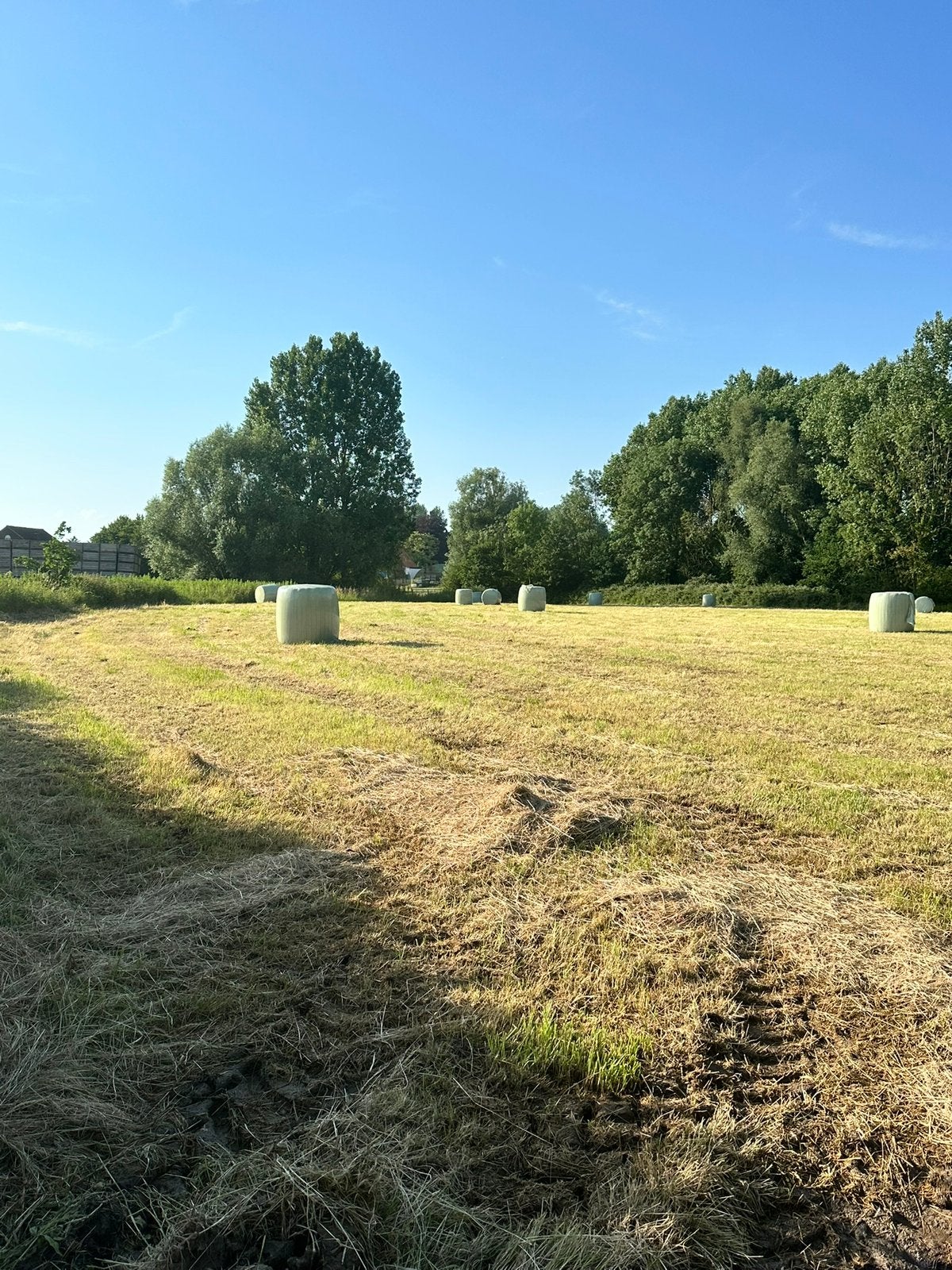 WEIDE TE KOOP 1,26 ha gelegen in GINGELOM VORSEN, Weidegang