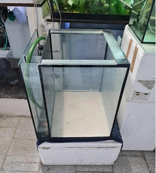 week-end portes ouvertes : vendez de nombreux aquariums, Enlèvement