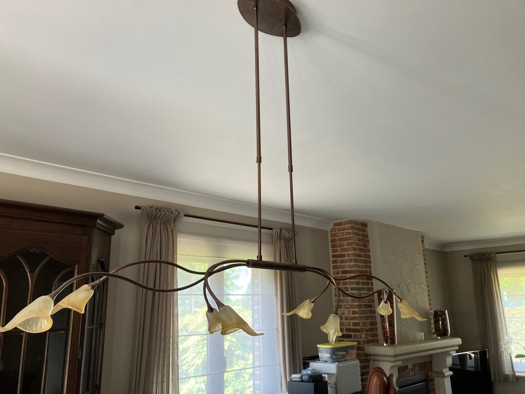 luster hangend model of plafond model, Huis en Inrichting, Lampen | Kroonluchters, Ophalen, Zo goed als nieuw