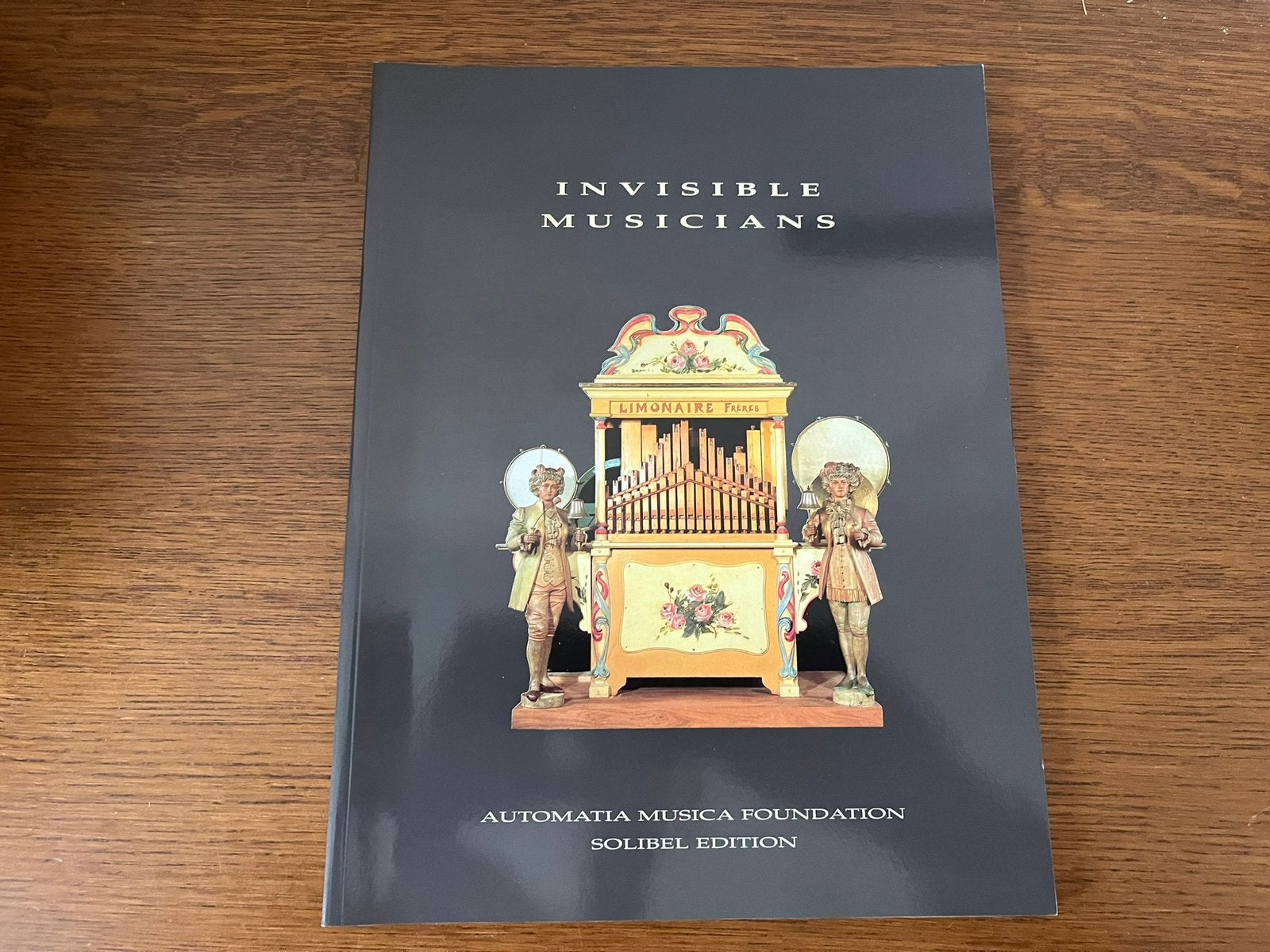 Invisible Musicians, Ophalen of Verzenden, Zo goed als nieuw
