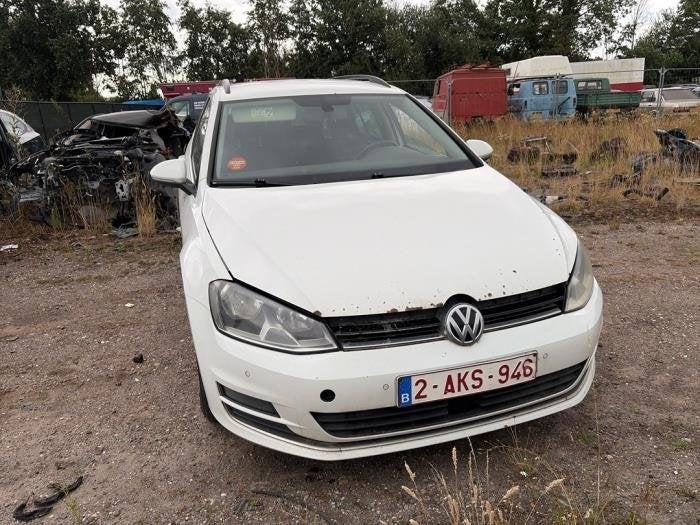 Capot d'un Volkswagen Golf (LC9A), Volkswagen, -, 3 mois de garantie, Utilisé