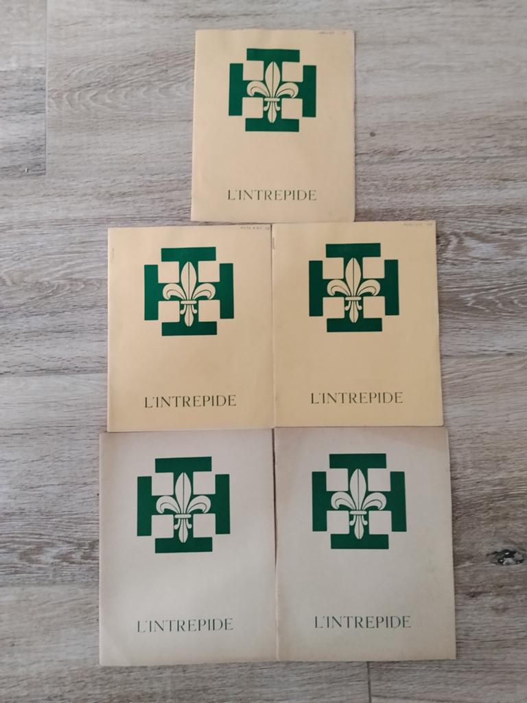 Scoute, Livres