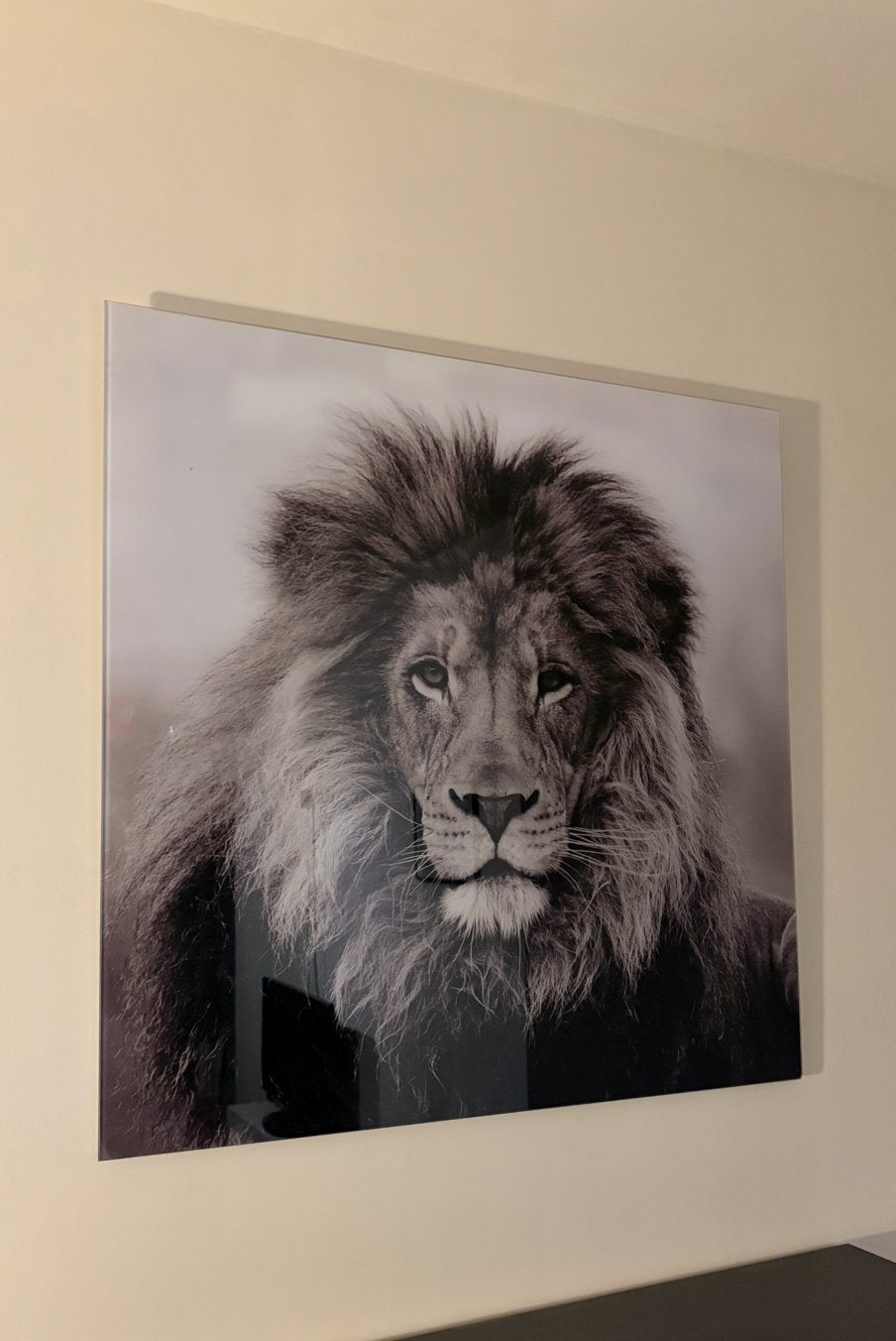 Grote canvas/wanddecoratie leeuw zwart-wit, Ophalen, Zo goed als nieuw