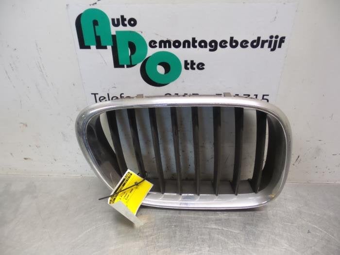 Grille van een BMW X5, Gebruikt, -, -, Ophalen of Verzenden