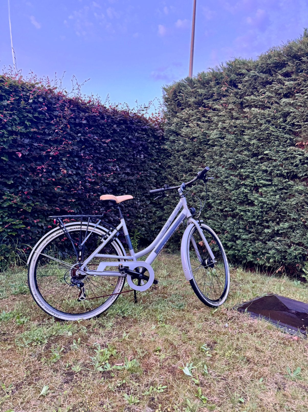 Dames fiets, Ophalen of Verzenden, Zo goed als nieuw