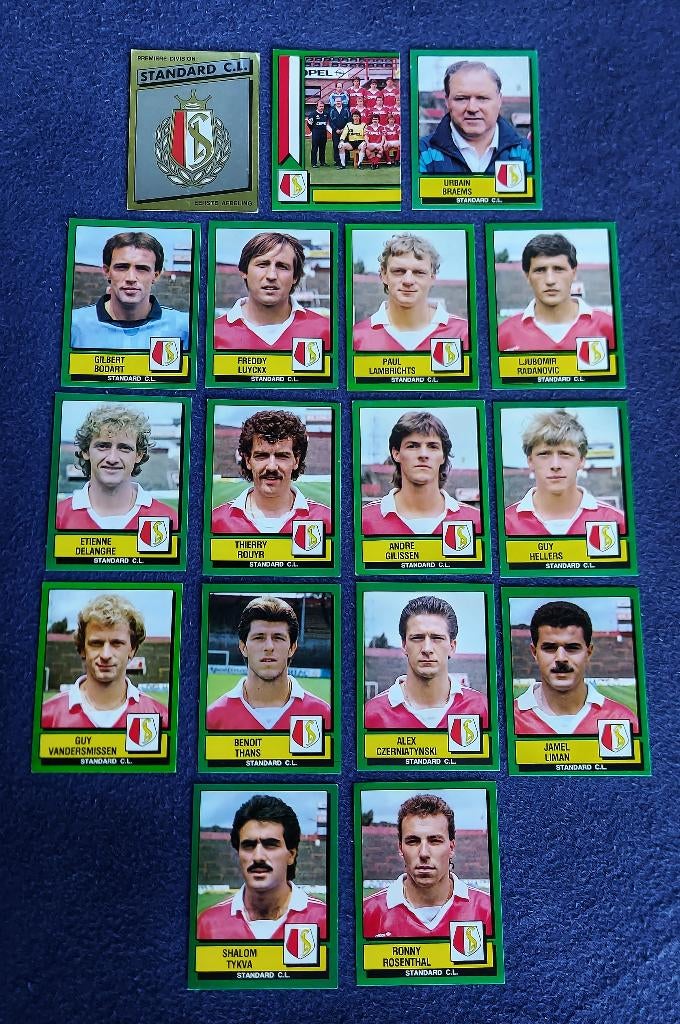 17 versch. Panini stickers voetbal ' FB 1989 - Standard CL ', Ophalen of Verzenden, Nieuw, Meerdere stickers