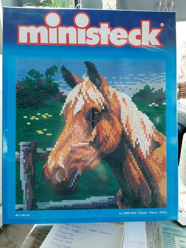 Ministeck nieuw, Enlèvement