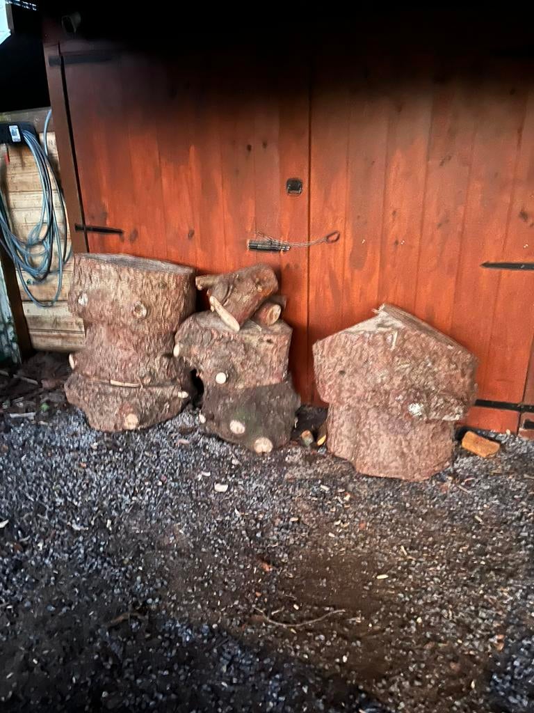 Brandhout, Tuin en Terras, Brandhout, Ophalen, Blokken