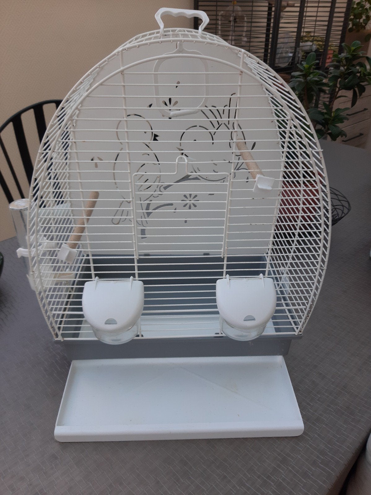 cage, Enlèvement