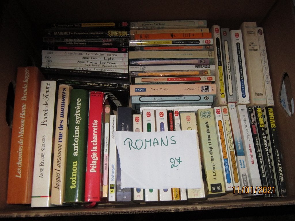 Livres +- 52 romans caisse n27 Adam D, Enlèvement, Utilisé
