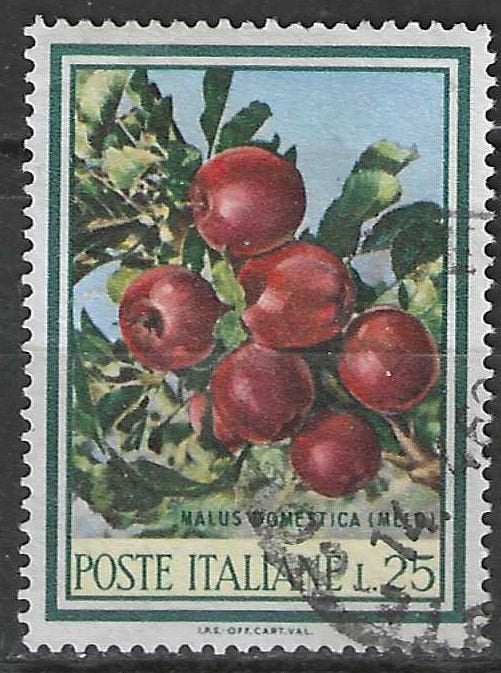 Italie 1967 - Yvert 989 - Fruits et fleurs - Pommes (ST), Envoi, Affranchi