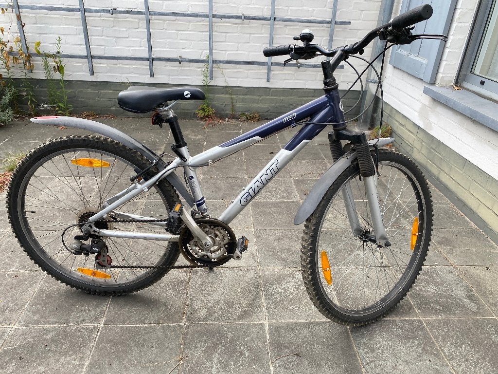 mountainbike Giant (jongen 10 jaar), Ophalen, 20 inch of meer, Gebruikt, Velgrem