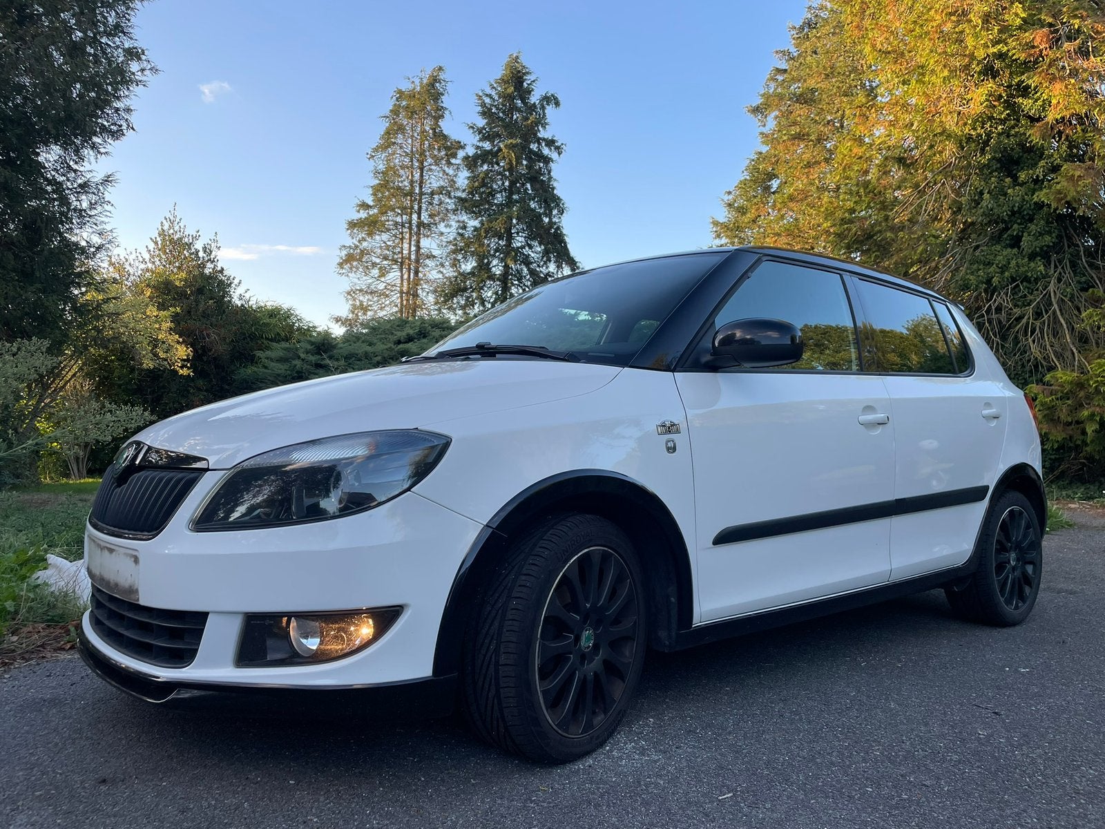 Skoda fabia Monte Carlo, Autos, Euro 5, Achat, 63 kW, Alcantara