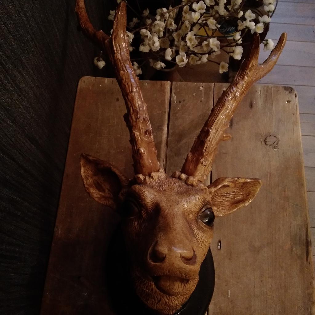 Tête de cerf en plâtre vintage. Signé F. Steenebruggen, Antiquités & Art, Envoi