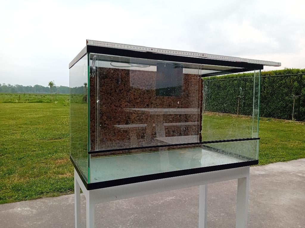 Terrarium, Enlèvement, Comme neuf, Terrarium ou Paludarium