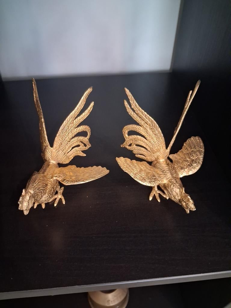 Goud kleurige vechthanen, Ophalen